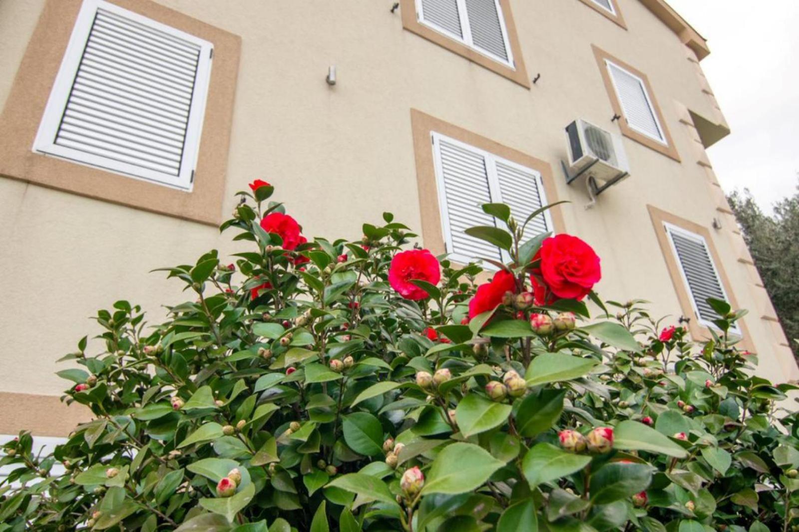 הרצג-נובי Apartments Savic מראה חיצוני תמונה
